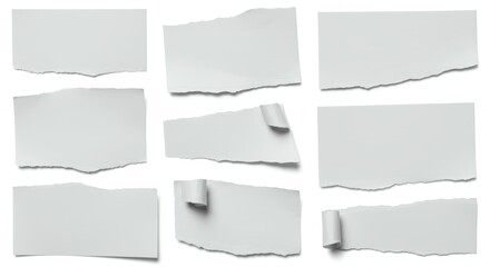 Torn white paper fragments with natural ripped edges on light gray background perfect for scrapbook and design elements