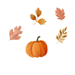 Pumpkin and Four Autumn Leaves Watercolor on transparent background