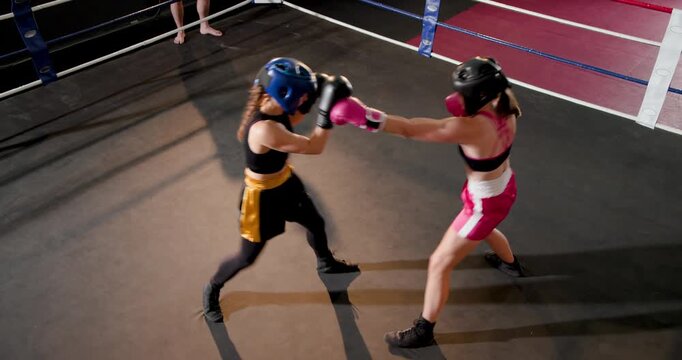 Responding to coach signal female boxers sparring trading jabs and circling boxing ring with gloves