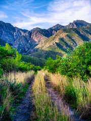 Vertical shot: Hiking trails to Langeberg Mountains, Robertson, South Africa