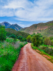 4x4 road through a lush valley with Langeberg Mountains, Robertson, South Africa © Arnold