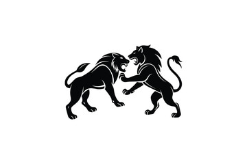 Fototapeta premium Two lions fighting face to face in a fierce stance silhouette