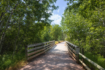 Fototapeta premium Bridge on the George S. Mickelson trail, South Dakota