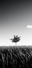 A solitary tree stands on a vast field, silhouetted against a clear sky, creating a serene and minimalist landscape in black and white.