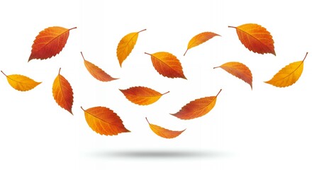 Floating autumn leaves in motion with shadows, dynamic fall foliage elements perfect for seasonal advertising campaigns