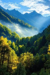 Lush green mountains bask in sunlight, with mist weaving through the trees, creating a serene and picturesque landscape under a bright blue sky.