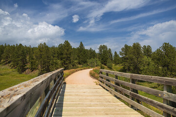 Bridge on the George S. Mickelson trail, South Dakota