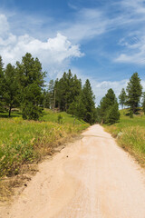 Obraz premium The George S. Mickelson Trail, South Dakota 