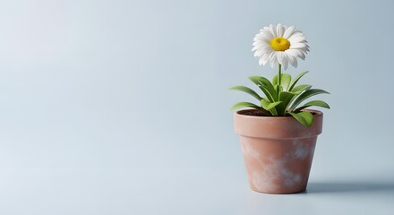 Fototapeta premium A single daisy flower blooms in a terracotta pot, casting a soft shadow on a light blue background.