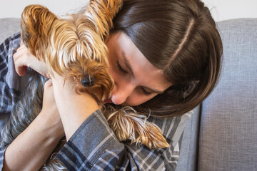 Fototapeta premium Teenager hugging her Yorkie on the living room sofa. Neutral interior tones. Pet care concept.Tender moments between owner and dog at home