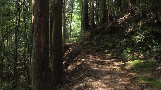 熊野古道・中辺路「猪鼻王子と発心門王子区間」和歌山県田辺市本宮町　Inohana to Hosshinmon Ōji &ndash; Sacred Trail on the Kumano Kodo Nakahechi Route, Japan