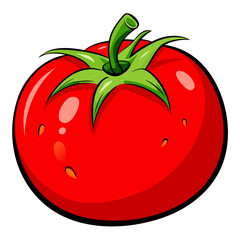 tomato vector illustration