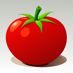 tomato on a white background