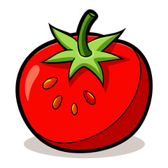 Ripe red tomato vector illustration isolated on a white background