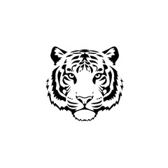 Fototapeta premium tiger head