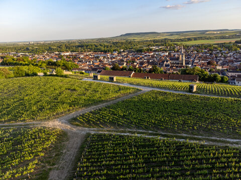 View on old green grand cru hilly champagne vineyards near village Ay-Champange, Vallee de la Marne, Champagne region, France, row of pinot noir grape plants and old houses in village