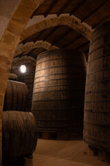 Visit of wine cellar with old large oak barrels, production of fortified dry or sweet tasty marsala wine in Marsala, Sicily, Italy
