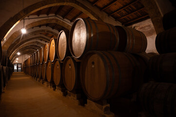 Visit of wine cellar with old large oak barrels, production of fortified dry or sweet tasty marsala wine in Marsala, Sicily, Italy