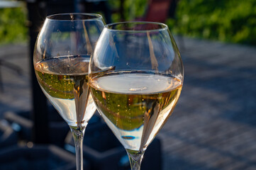 Glasses of white sparkling wine brut, grand reserve, champagne on green hilly vineyards in old wine making grand cru Ay-Champagne village in Vallee de la Marne, Champagne, France