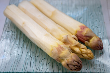 New season, fresh raw French violet-white asparagus vegetables large size, ripe and tasty