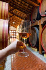 Visit of wine cellar with old large oak barrels, glass of fortified dry or sweet tasty marsala wine from barrels in Marsala, Sicily, Italy