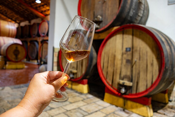 Visit of wine cellar with old large oak barrels, glass of fortified dry or sweet tasty marsala wine from barrels in Marsala, Sicily, Italy