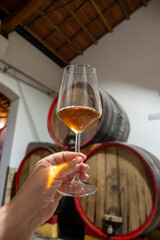 Visit of wine cellar with old large oak barrels, glass of fortified dry or sweet tasty marsala wine from barrels in Marsala, Sicily, Italy