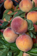 New harvest of fresh ripe sweet yellow-red peaches fruits in Provence, south France