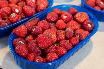 Box of fresh aromatic ripe red wild fragolino strawberries for sale in small town Nemi, Castelli Romani, near Rome, Italy