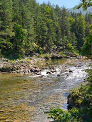 river in the forest Krivaja, Bosnia und Herzegowina 