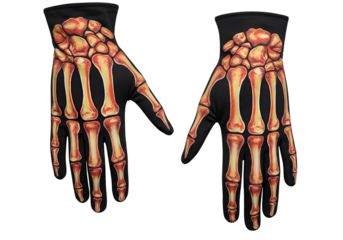 Anatomical illustration of human skeletal hands with detailed bones and joints in a minimalistic