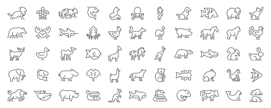 Animals shapes in line style. Animals thin line icons collection. Animals line icons set. Set of outline icons related to animals and pets.