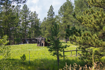 Old dilapidated wooden building in a meadow