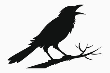 Crow Silhouette on Branch