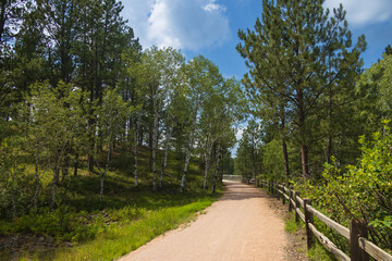 Bridge on the George S. Mickelson trail, South Dakota