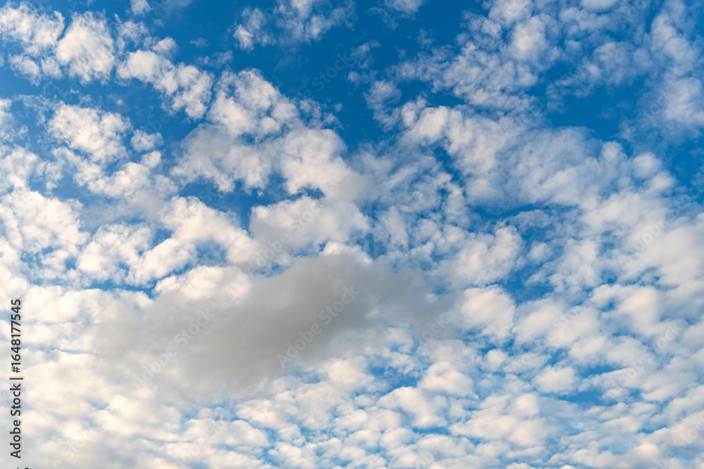 Wall mural overcast scene. cloudy sky view. cloud drifting. cloudy atmospheric backdrop. morning sky with cloud
