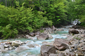 青葉の中流れる水が綺麗な夕森渓谷