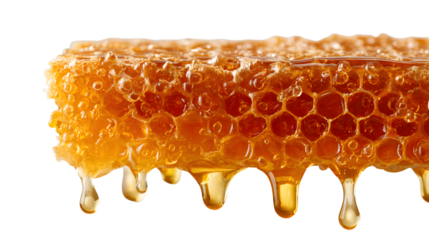 A tight shot of a honeycomb against a pristine white backdrop, with golden honey trickling down its edge