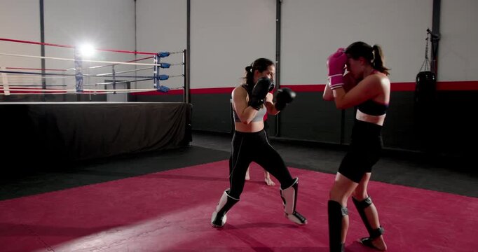 At coach signal women sparring duo with gloves circling and exchanging strikes for training at gym