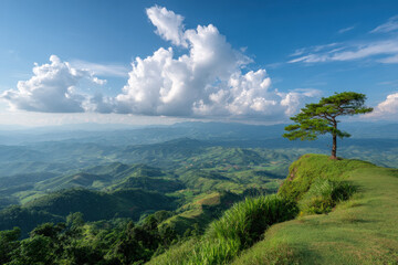 Naklejka premium explore summer landscapes and nature across different countries featuring vivid green hills and solitary pine