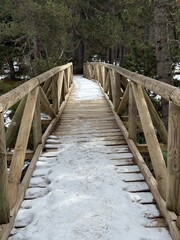 Obraz premium wooden bridge in the forest
