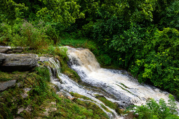 waterfall in the forest
