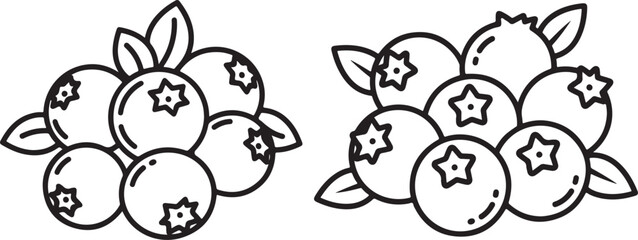 Blueberry illustration featuring fresh clusters with leaves, isolated as a simple outline graphic