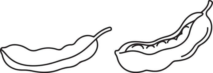 Obraz premium Illustration of two open pods with beans inside, black outline on white background