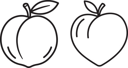 Peach fruit outline vector illustration, food, organic, farm, autumn, harvest