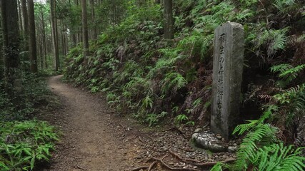 熊野古道・中辺路「水呑王子・伏拝王子区間」和歌山県田辺市本宮町 Mizunomi Ōji to Fushiogami Ōji Segment – Kumano Kodo Pilgrimage Trail, Wakayama Prefecture