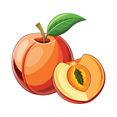 Fresh Ripe Peach Fruit Vector Illustration