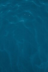 Fototapeta premium Tranquil ocean surface with gentle ripples and subtle light reflections, evoking a sense of calm and serenity