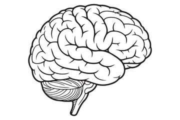 Brain silhouette icon simple vector illustration isolated on white background for medical concepts
