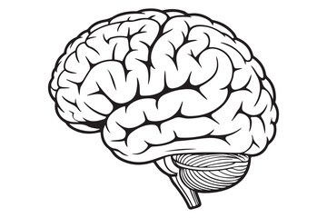 Brain silhouette icon simple vector illustration isolated on white background for medical concepts

